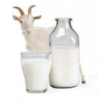 Срок хранения козьего молока